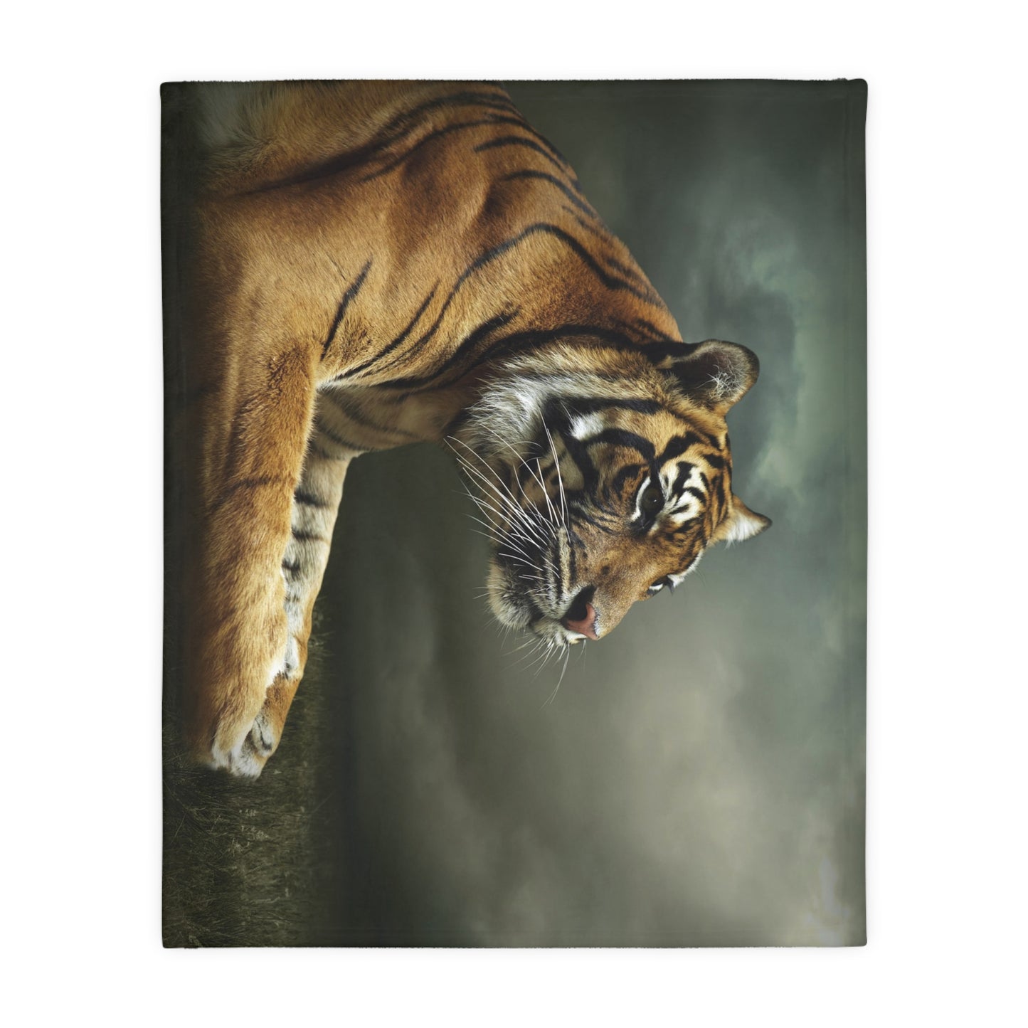 Microfiber Blanket (Two-sided print)