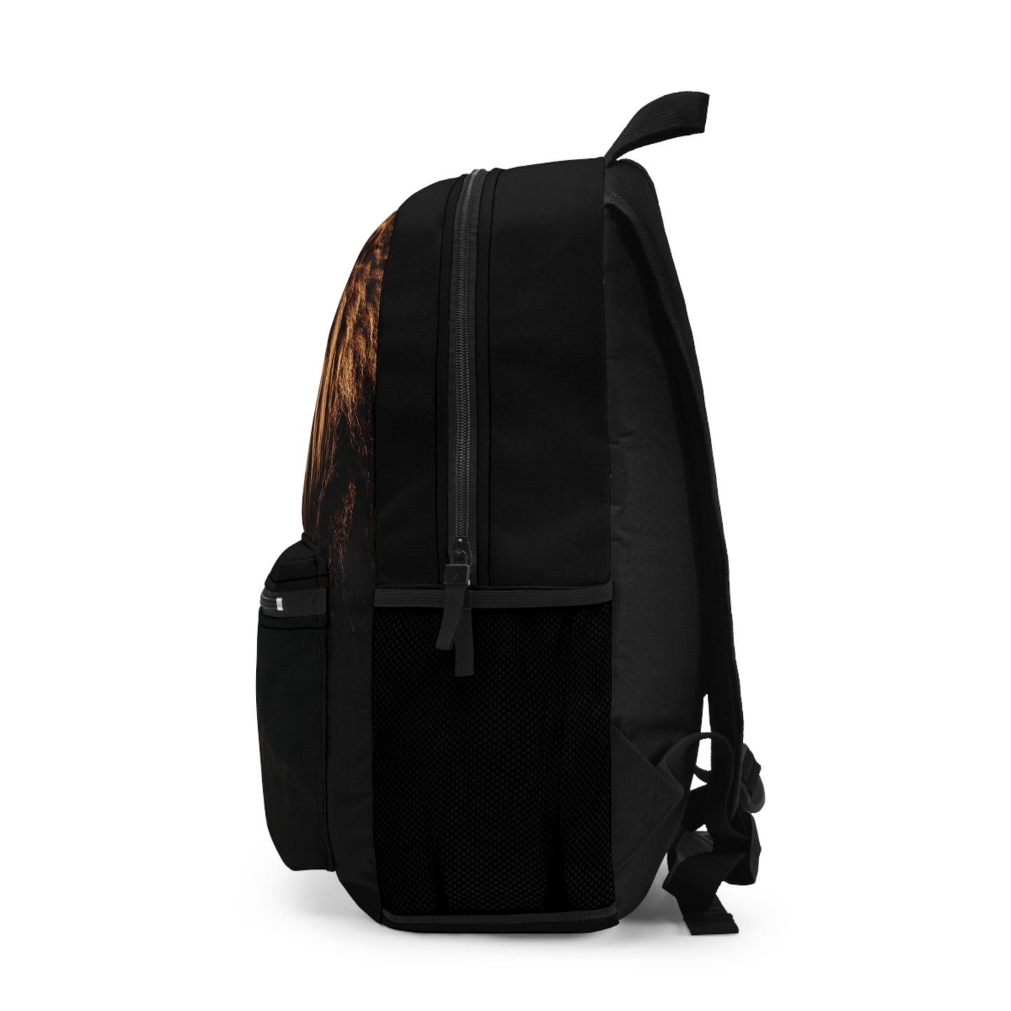 school Backpack