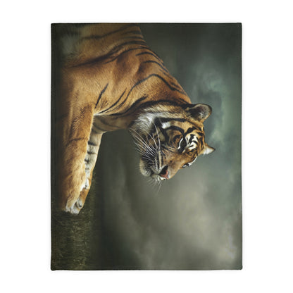 Microfiber Blanket (Two-sided print)