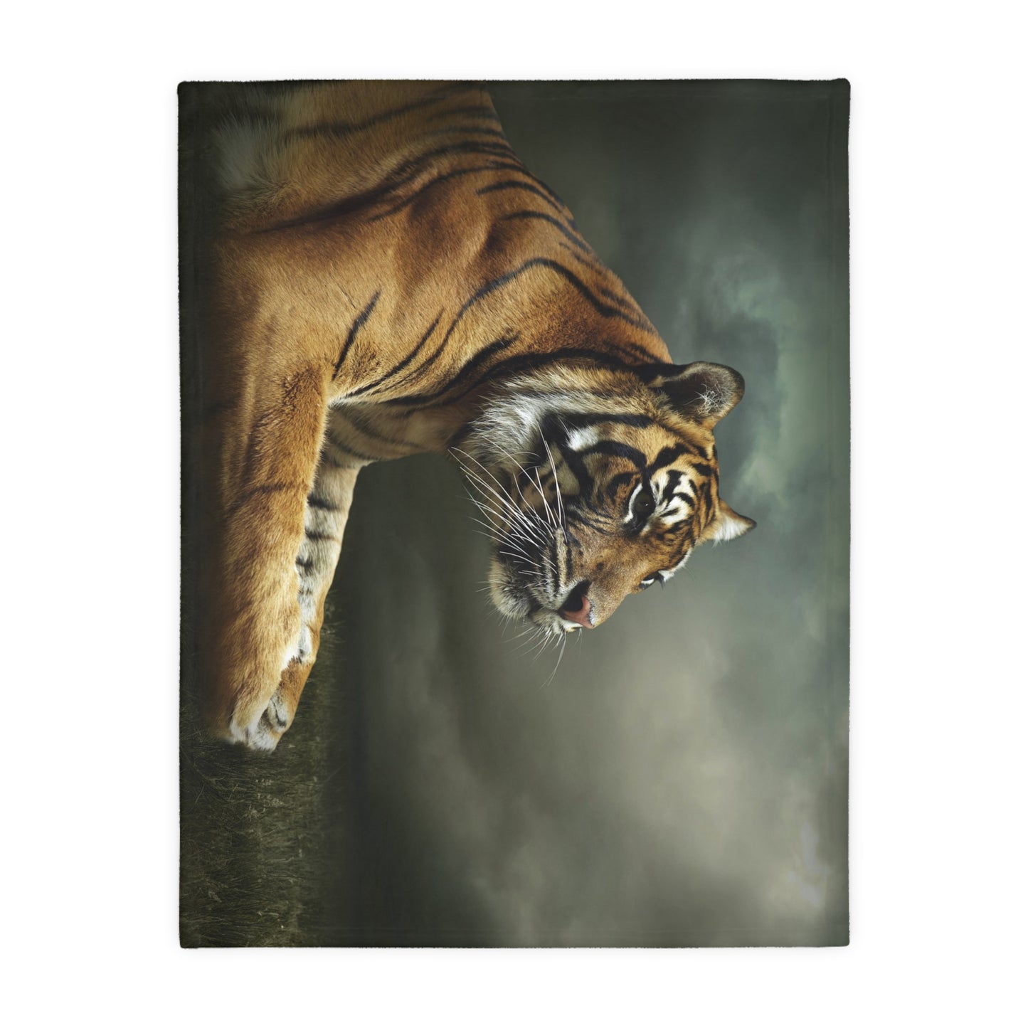 Microfiber Blanket (Two-sided print)