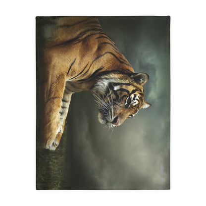 Microfiber Blanket (Two-sided print)